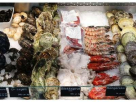 Best Shrimps Frozen Fish & Seafood Trading