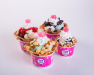 Baskin Robbin