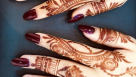 Pristine Ladies Beauty Salon
