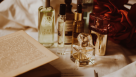 Sadia Trading Company