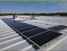 Zenersol Solutions