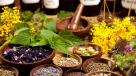 Alqamar Herbs Trading