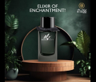 My Brands Perfumes
