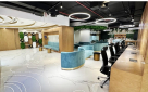 Avyanco Business Setup Consultancy