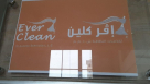 Ever Clean Cleaning Services