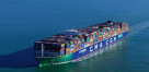 Ocean Express Shipping & Logistics