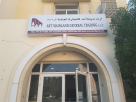 Art Mainland General Trading
