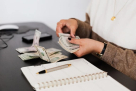 Auditco Gold For Tax Consultant