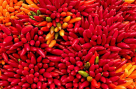 Global Links Vegetables & Fruits
