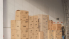 Step And Aea Freight & Transport