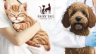 Fairy Tail Veterinary Clinic