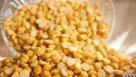 Badr Al Firdous Foodstuff Trading