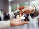 True Value Automobile Auction