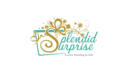Splendid Surprise Wedding & Events Organizations