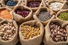 Nuts Bar Trading