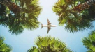Fahms International Travel & Tourism