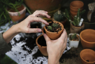 Yardscape Agriculture & Landscaping