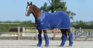 Belcadan Horse Equestrian Equipment Trading