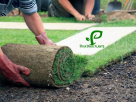 Riya Pari Plants Landscaping