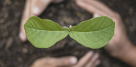 Zahra Al Warsan Agriculture Materials Trading