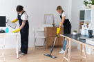 Cleanly Cleaning Services