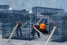 Alpha Steel Trading Co