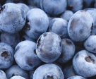 Jacob & Shamim Fruits & Vegetables Trading