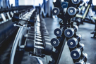 Torque Fitness