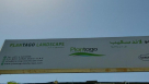 Plantago Landscape