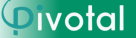 Pivotal Accounting Solutions