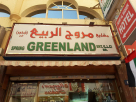 Spring Greenland Enterprises L.L.C.