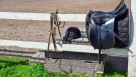 Horses Station Equestrian Equipment & Requisites Trading