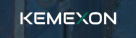 Kemexon Cost Control & Risk Management Services