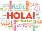 Language Skills