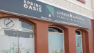 Spring Oasis Curtains & Upholstery Fabrics Trading