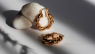Zayan Gold & Jewellery