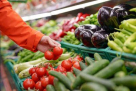 Mohammed Abu Zafar Grocery