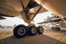 Cargo Crew