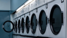 Omar Haji Alblooshi Laundry