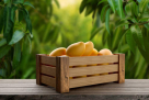Al Ghawali Foodstuff Trading