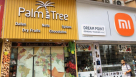 Palm Tree Sweets Nuts