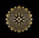 Tamasha Fusion Restaurant