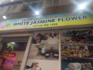 White Jasmine Flower Ladies Salon