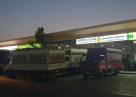 Muhammad Suleman Vegetables And Fruits Trading