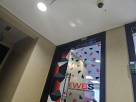E W B S Excellence Business Services L.l.c