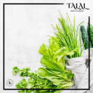Raya Al Talal Supermarket