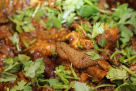 Welcome Tamil Nadu Restaurant