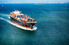 Mvp Shipping Dmcc