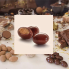 Blu Chocolate Desserts And Chocolate Manufacturing
