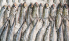 Jassim Khalifa Al Towila Fish Stall